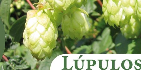 cabecera_lupulo