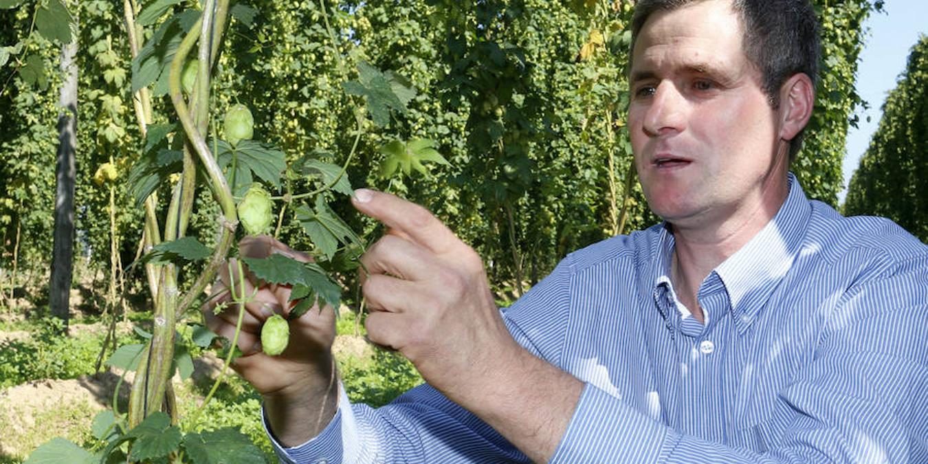 ICAL335098_xoptimizadax-kakD–1350×900@Leonoticias