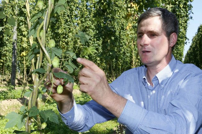 ICAL335098_xoptimizadax-kakD–1350×900@Leonoticias