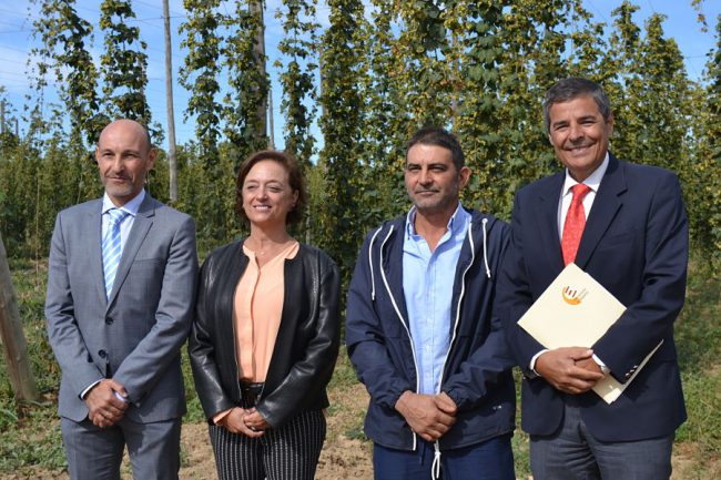 representantes-lupulo