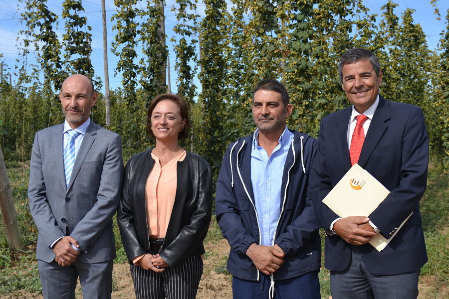 representantes-lupulo